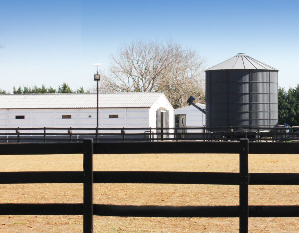 F3 Architecture, Haras La Pasión Anexo Chenaut, Stud Farm horse, breeding farms, 1100x1000