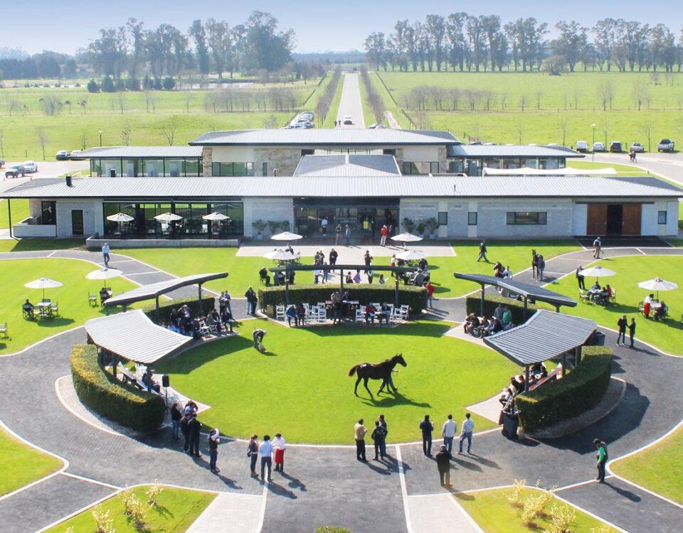 F3 Architecture, Haras La Pasión, Stud Farm, horse breeding farms, 1100x1000