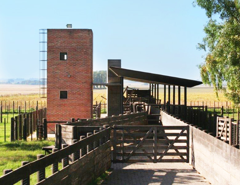 F3 Architecture, Marías del Sur, Stud Farm, horse breeding, farm, Equestrian